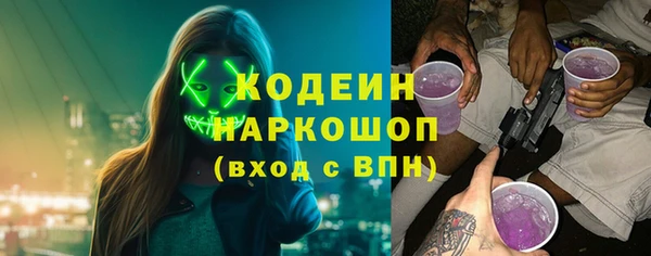 индика Абинск