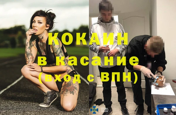 сатива Алексеевка