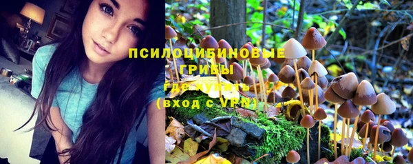 винт Пестово